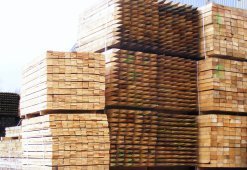 timber