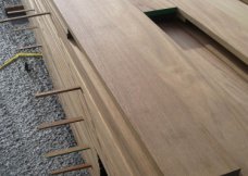 Iroko