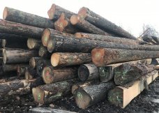 Balau Logs