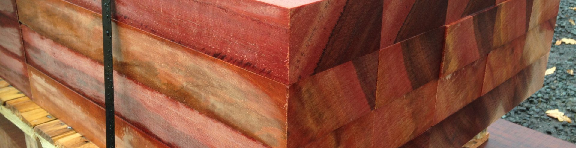 PURPLEHEART