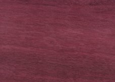 Purpleheart