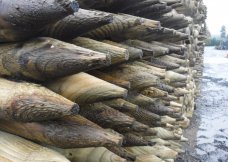 Round Posts