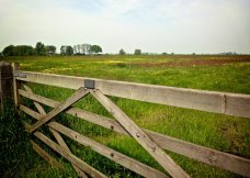 Wooden Gate