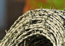 Barbed Wire