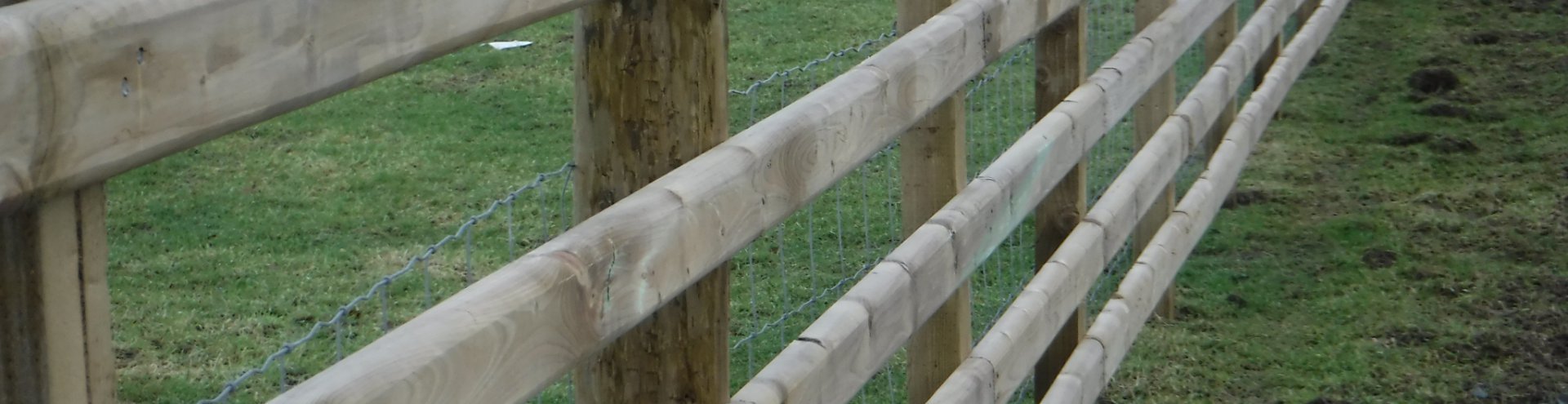 Fence
