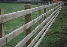 Post & Rail