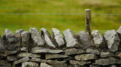 WIRE FENCING
