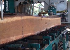 Greenheart Sawmilling